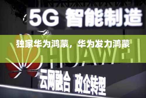 独家华为鸿蒙，华为发力鸿蒙 