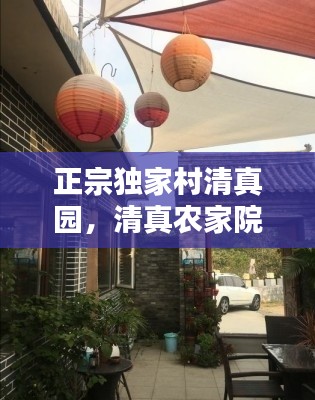 正宗独家村清真园，清真农家院 