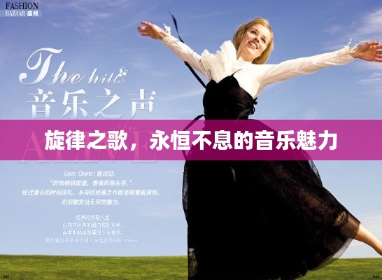 旋律之歌,永恒不息的音乐魅力