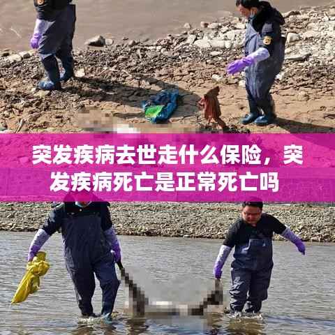 突发疾病去世走什么保险，突发疾病死亡是正常死亡吗 