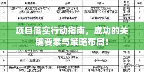 项目落实行动指南，成功的关键要素与策略布局！