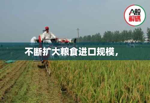 不断扩大粮食进口规模， 