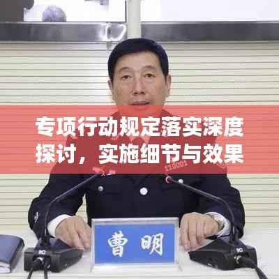 专项行动规定落实深度探讨，实施细节与效果评估