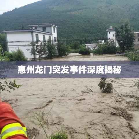 惠州龙门突发事件深度揭秘
