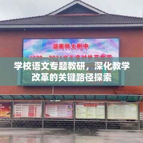 学校语文专题教研，深化教学改革的关键路径探索