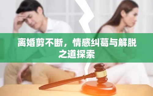 离婚剪不断，情感纠葛与解脱之道探索
