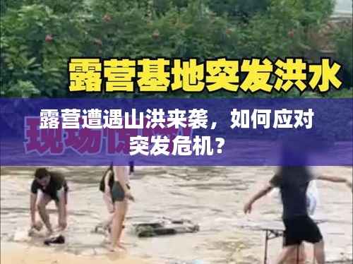 箭拔弩张 第5页