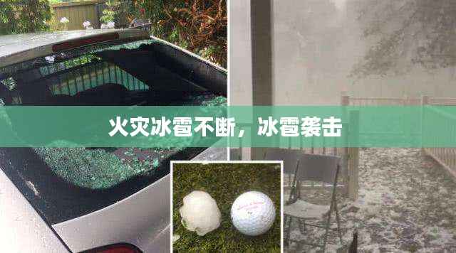 克勤克俭 第5页