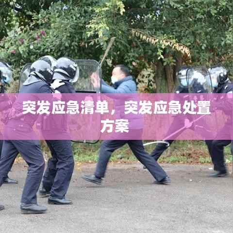 突发应急清单，突发应急处置方案 