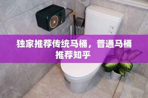 独家推荐传统马桶，普通马桶推荐知乎 