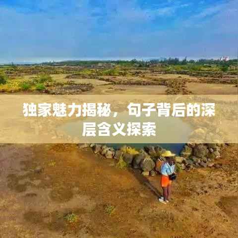 独家魅力揭秘，句子背后的深层含义探索