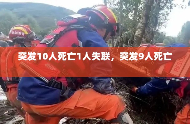 突发10人死亡1人失联,突发9人死亡