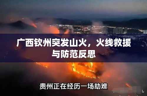 广西钦州突发山火，火线救援与防范反思