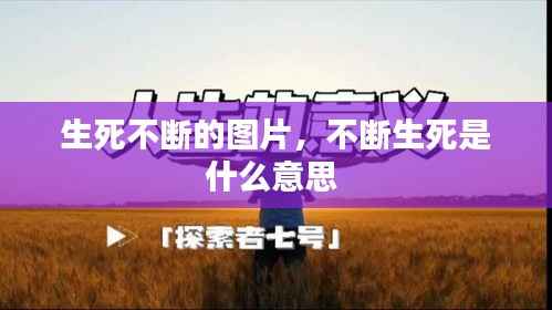 鸟集鳞萃 第4页