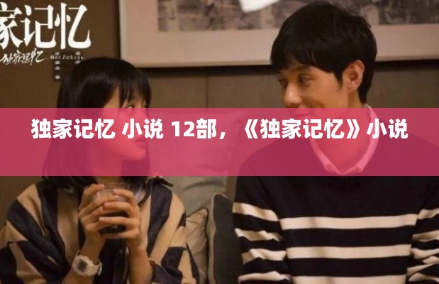 独家记忆 小说 12部，《独家记忆》小说 