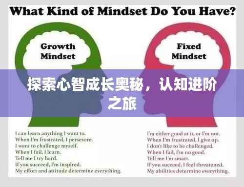 探索心智成长奥秘，认知进阶之旅