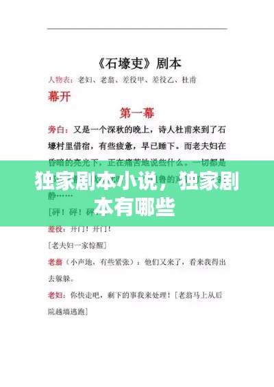 独家剧本小说，独家剧本有哪些 