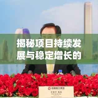 揭秘项目持续发展与稳定增长的成功秘诀，落地不断层，打造稳健增长引擎！