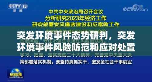 突发环境事件态势研判，突发环境事件风险防范和应对处置情况 