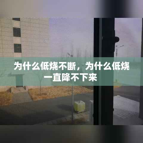 为什么低烧不断，为什么低烧一直降不下来 