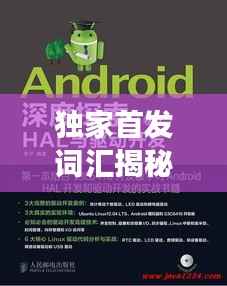 独家首发词汇揭秘，深度探索与解读