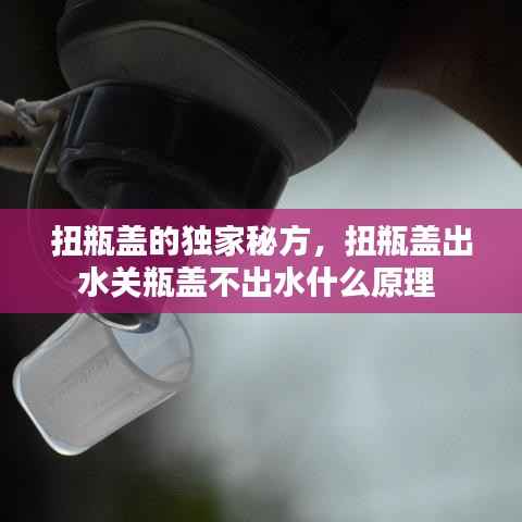 志在四方 第4页