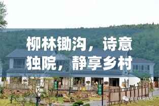 柳林锄沟，诗意独院，静享乡村生活