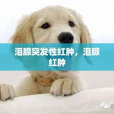 娇小玲珑 第5页