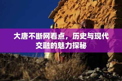大唐不断网看点，历史与现代交融的魅力探秘