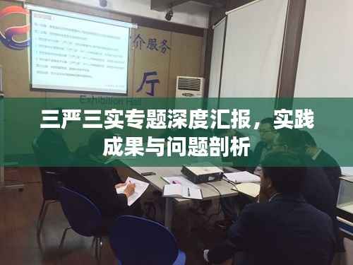 三严三实专题深度汇报，实践成果与问题剖析
