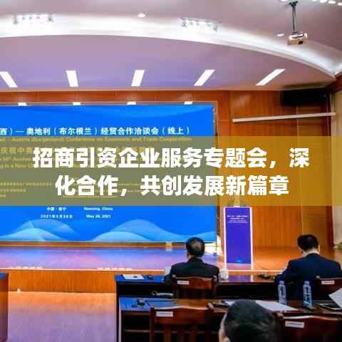 招商引资企业服务专题会，深化合作，共创发展新篇章