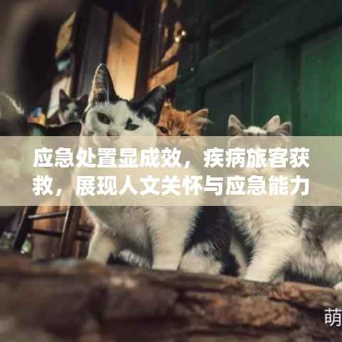应急处置显成效，疾病旅客获救，展现人文关怀与应急能力融合典范