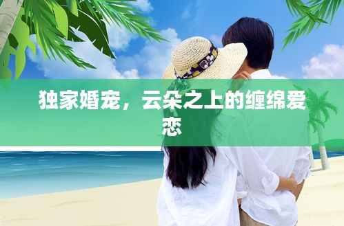 独家婚宠，云朵之上的缠绵爱恋