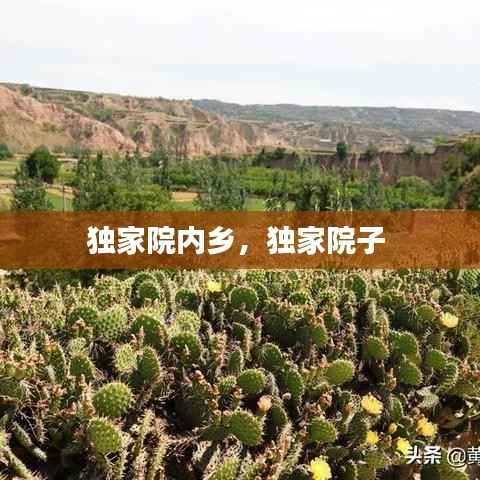 鸟吏鳖官 第5页