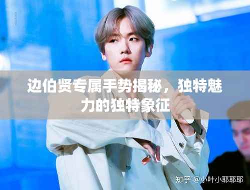 边伯贤专属手势揭秘，独特魅力的独特象征