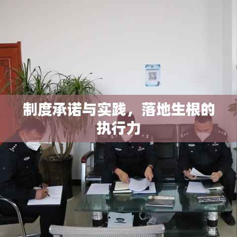 制度承诺与实践，落地生根的执行力