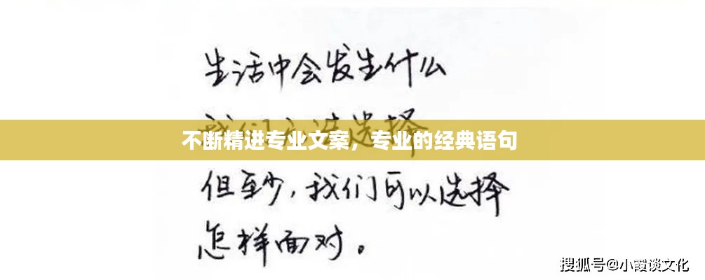不断精进专业文案，专业的经典语句 