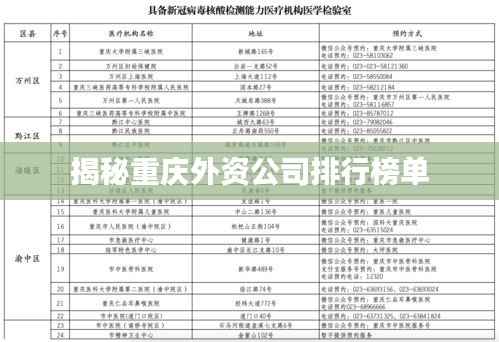 手不释卷 第5页