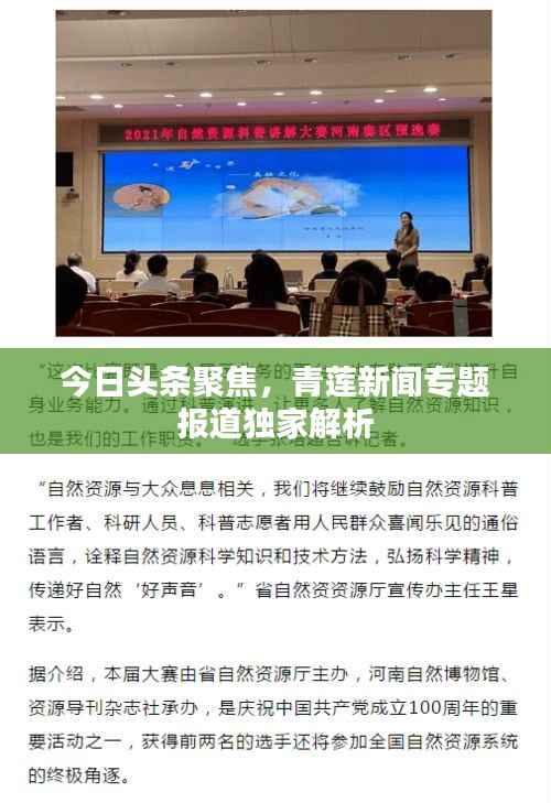 今日头条聚焦，青莲新闻专题报道独家解析