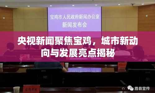 央视新闻聚焦宝鸡，城市新动向与发展亮点揭秘