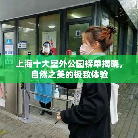 还淳反素 第4页