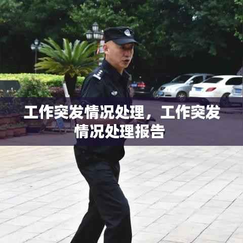 工作突发情况处理，工作突发情况处理报告 