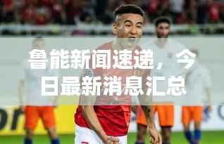 鲁能新闻速递，今日最新消息汇总