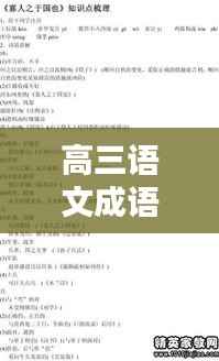 高三语文成语专题深度解析
