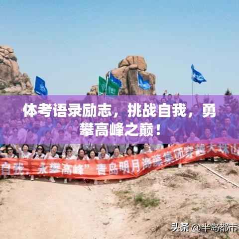 体考语录励志，挑战自我，勇攀高峰之巅！
