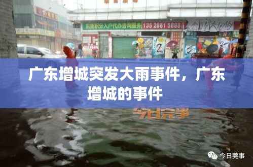 广东增城突发大雨事件，广东增城的事件 