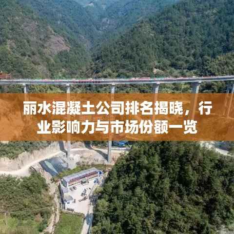 丽水混凝土公司排名揭晓，行业影响力与市场份额一览