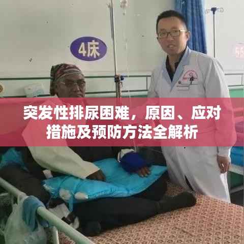 突发性排尿困难，原因、应对措施及预防方法全解析