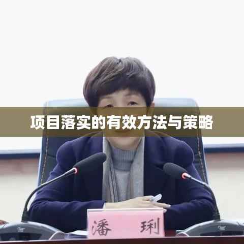项目落实的有效方法与策略