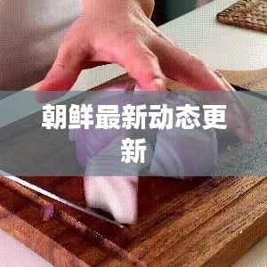 朝鲜最新动态更新